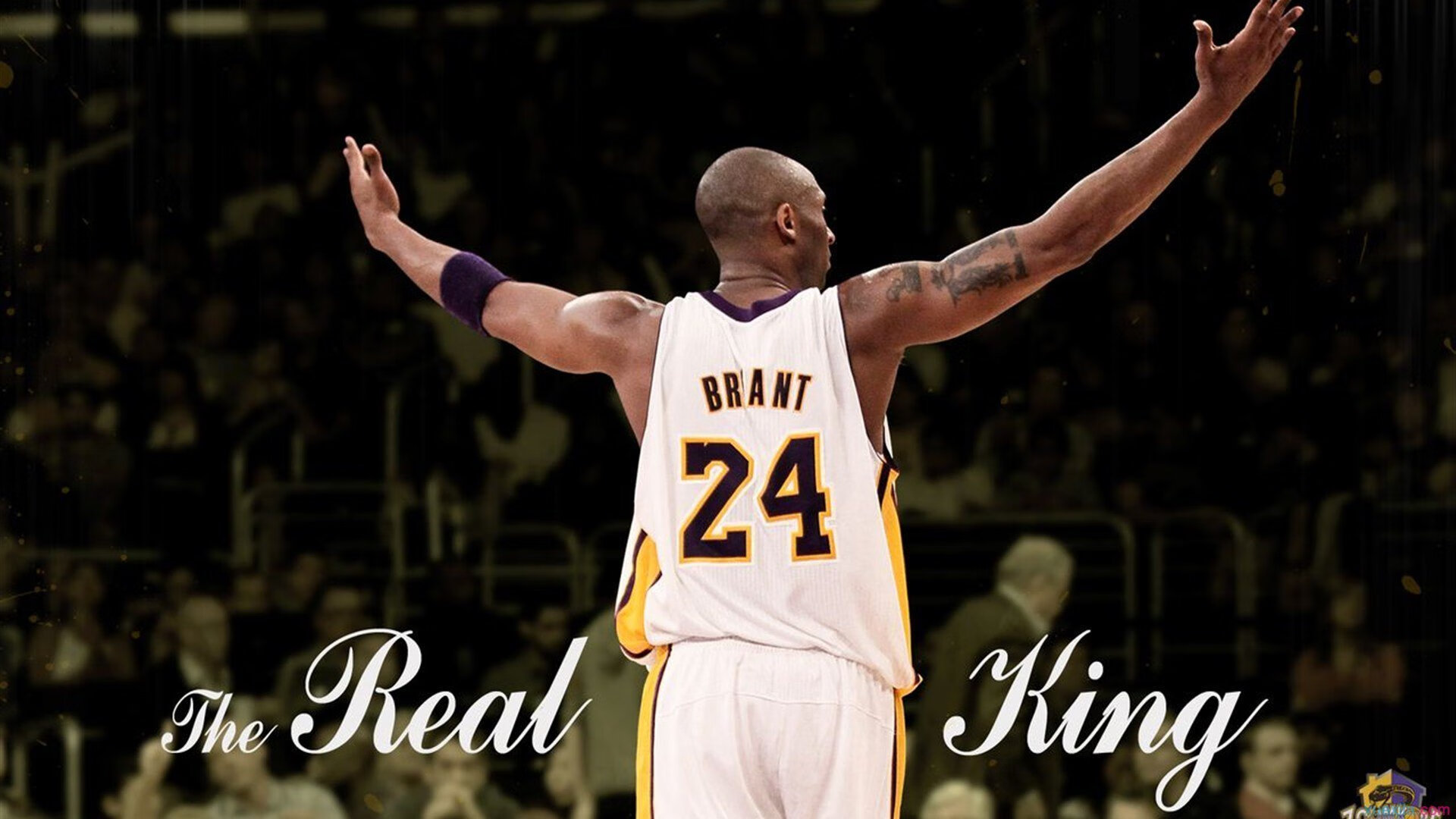 温网2024，阿尔卡拉斯逆转夺冠，斯瓦泰克首度封后创造历史