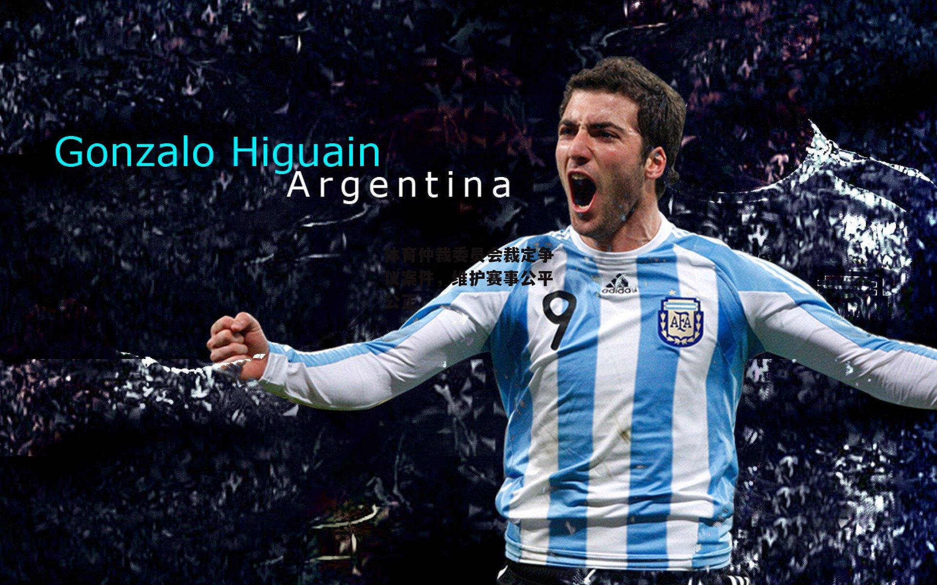 体育仲裁委员会裁定争议案件,维护赛事公平公正