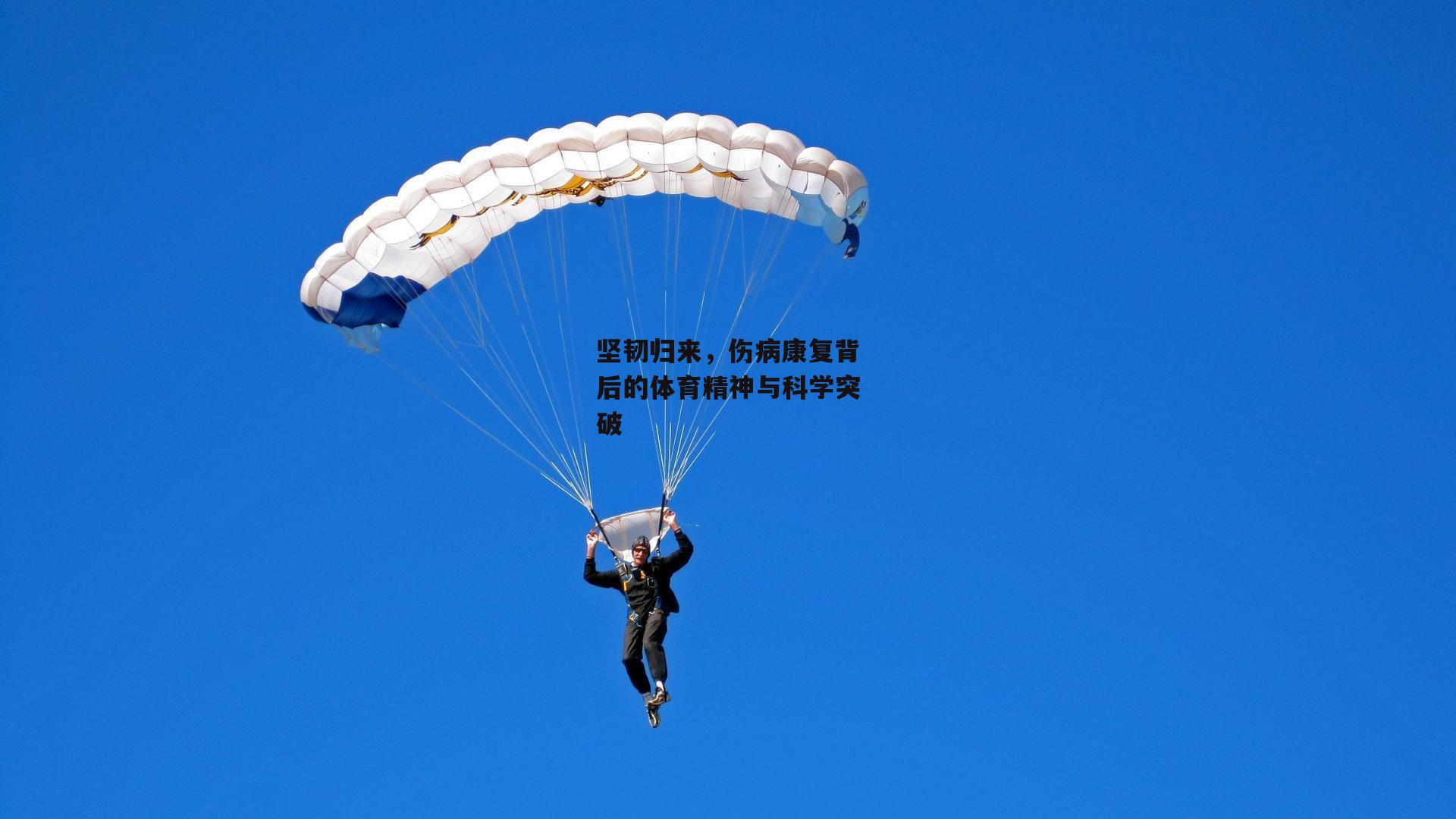 坚韧归来，伤病康复背后的体育精神与科学突破